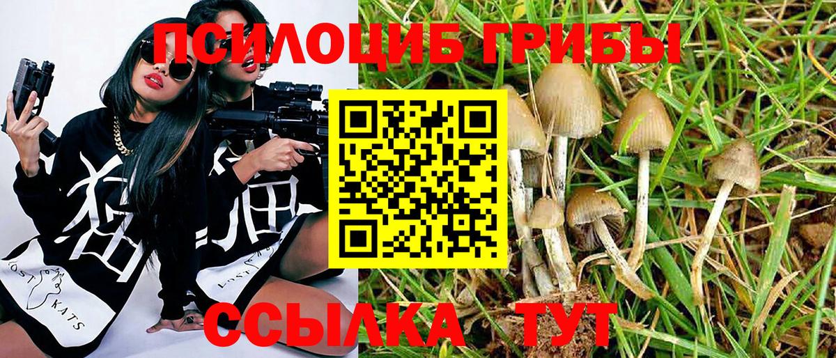 Псилоцибиновые грибы мицелий Семилуки